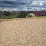 photo_2023-09-02_07-00-37