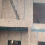 photo_2023-11-21_11-38-09