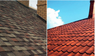 cherepyca dla skatnyh dahiv будівництво